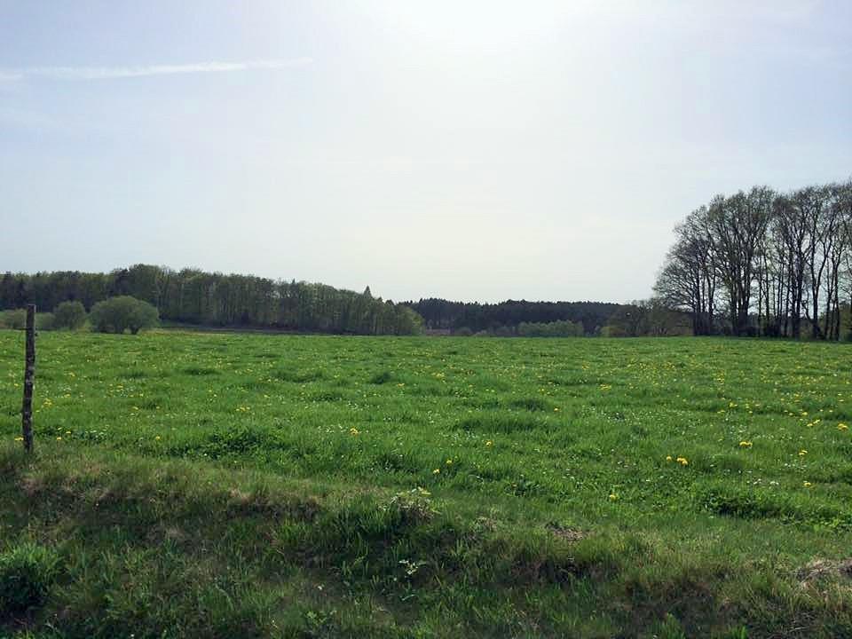 Auberge De Saint Julien Aux Bois Eksteriør bilde